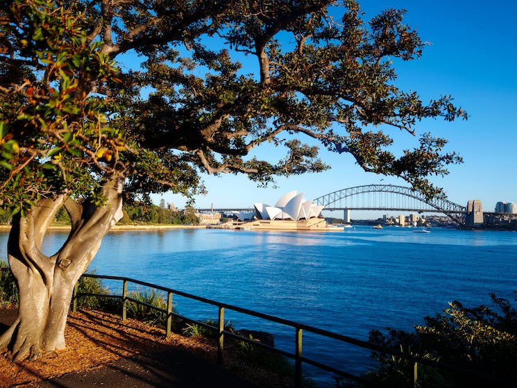 botainic gardens sydney